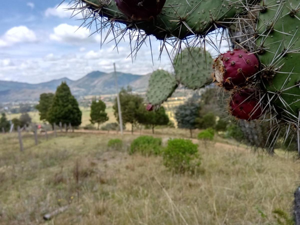 Hotel Campestre Los Duraznos Cucunubá Eksteriør bilde